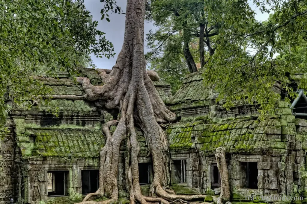 Must-See Tourist Attractions in Cambodia: Temples and Beyond 5