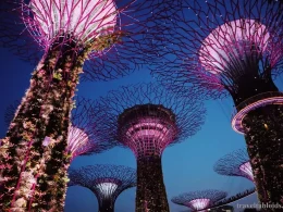 Singapore’s Top 10 Tourist Attractions for First-Time Visitors 3