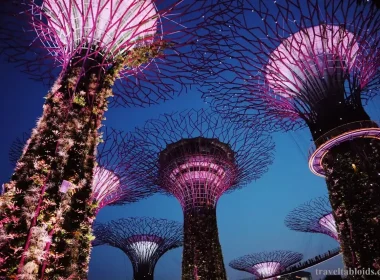 Singapore’s Top 10 Tourist Attractions for First-Time Visitors 3