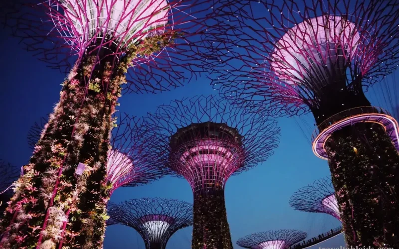 Singapore’s Top 10 Tourist Attractions for First-Time Visitors 3