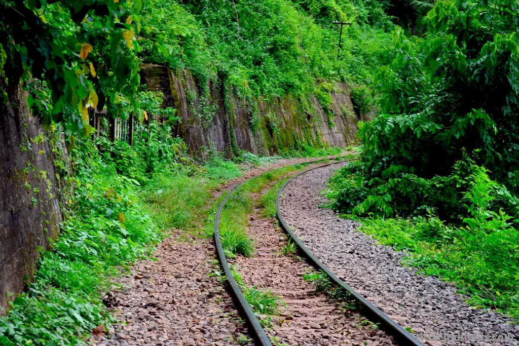 Exploring the Wonders of Thailand: Climbing at Tonsai Beach, Waterfalls at Erawan National Park