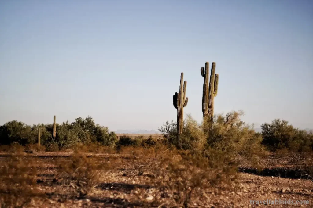 Exploring the Wonders of Arizona: A Journey Through Iconic Attractions