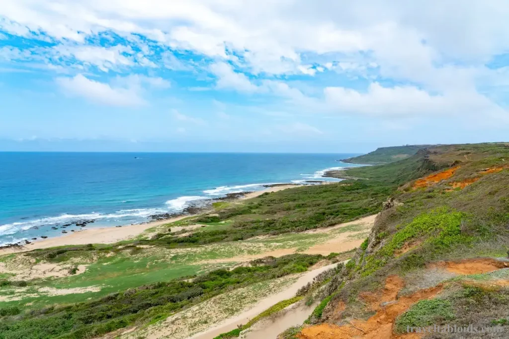 Must-Visit Spots in Taiwan: Nature’s Beauty and Urban Glitz