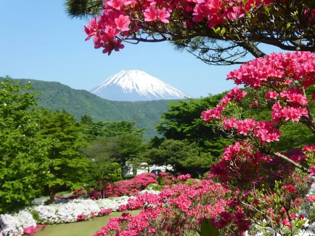 Top 13 Tourist Attractions in Japan: Must-Visit Places for Travelers